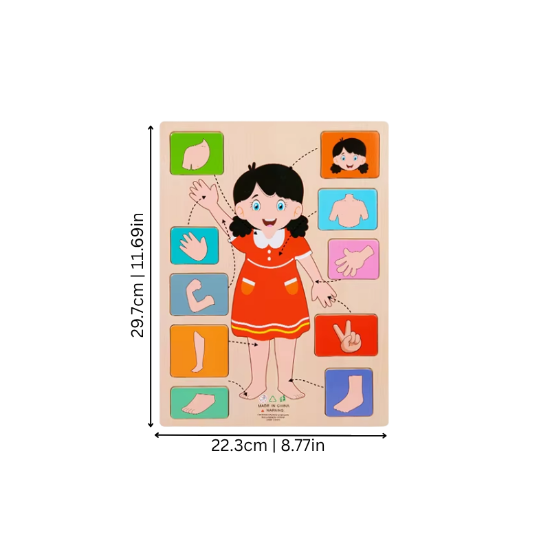 Children's Human Body Educational Wooden Jigsaw Puzzle Toy
