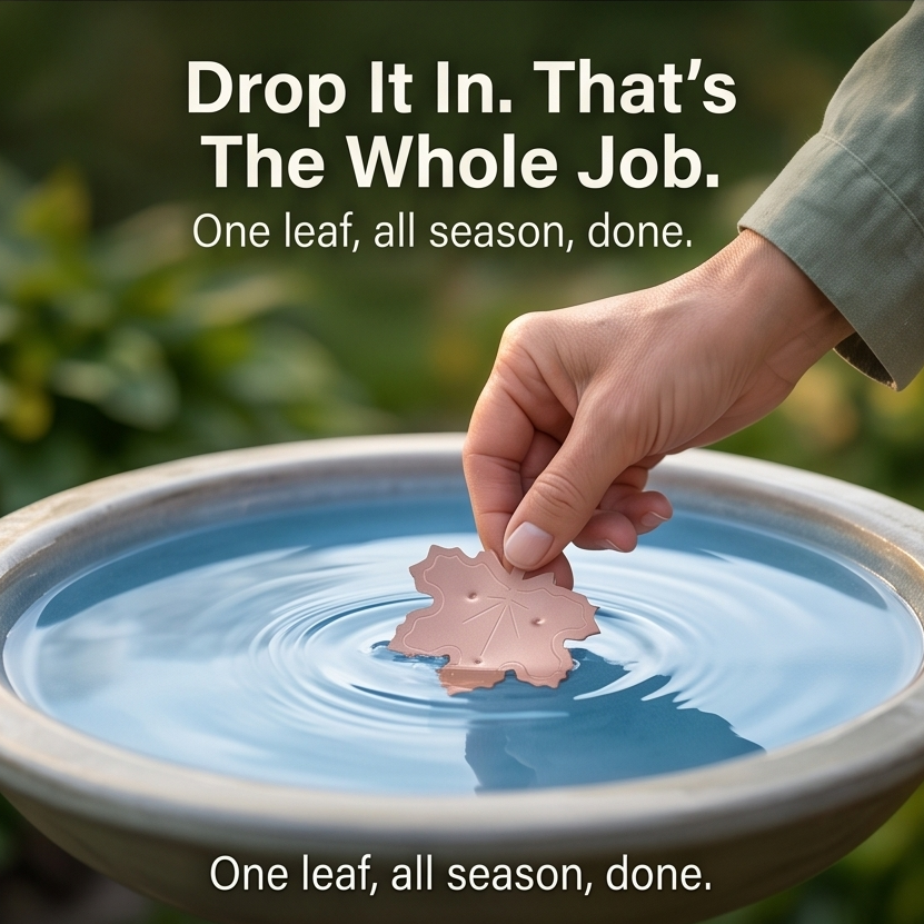 Copper Leaf Bird Bath Purifier for Algae Control