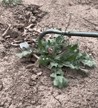 Manual Weeder Tool
