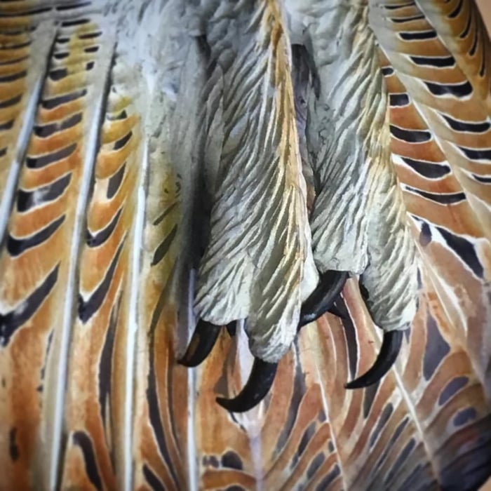 Wooden Wall Decoration – Majestic Owl