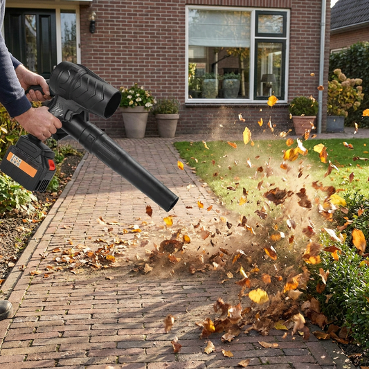4-In-1 Leaf, Snow and Dust Blower