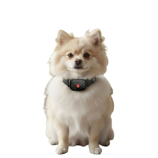 Anti-Bark Dog Collar for Small Dogs
