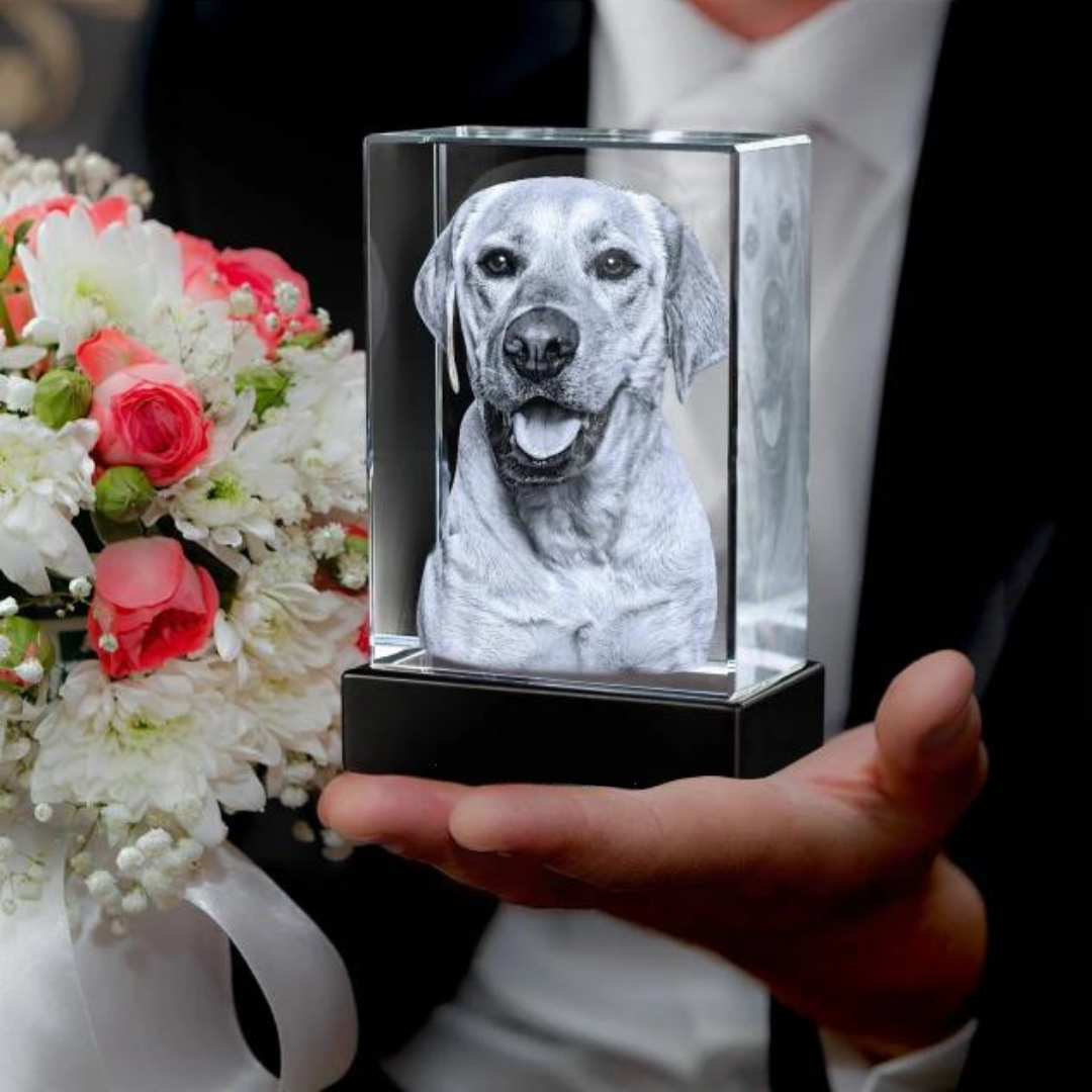 Bring Your Photo to Life in a Beautiful Piece of Art