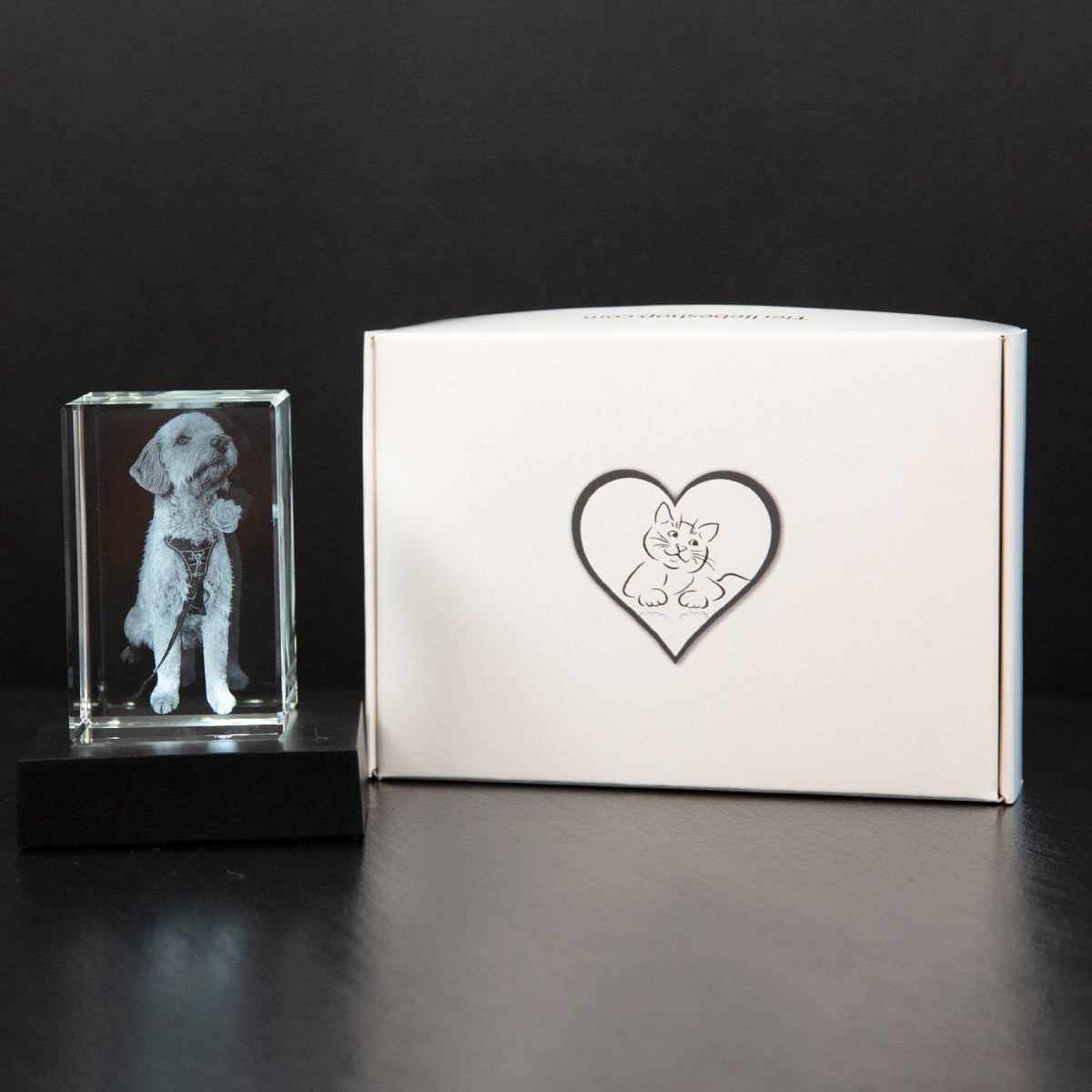 Bring Your Photo to Life in a Beautiful Piece of Art