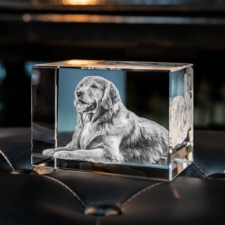 Bring Your Photo to Life in a Beautiful Piece of Art