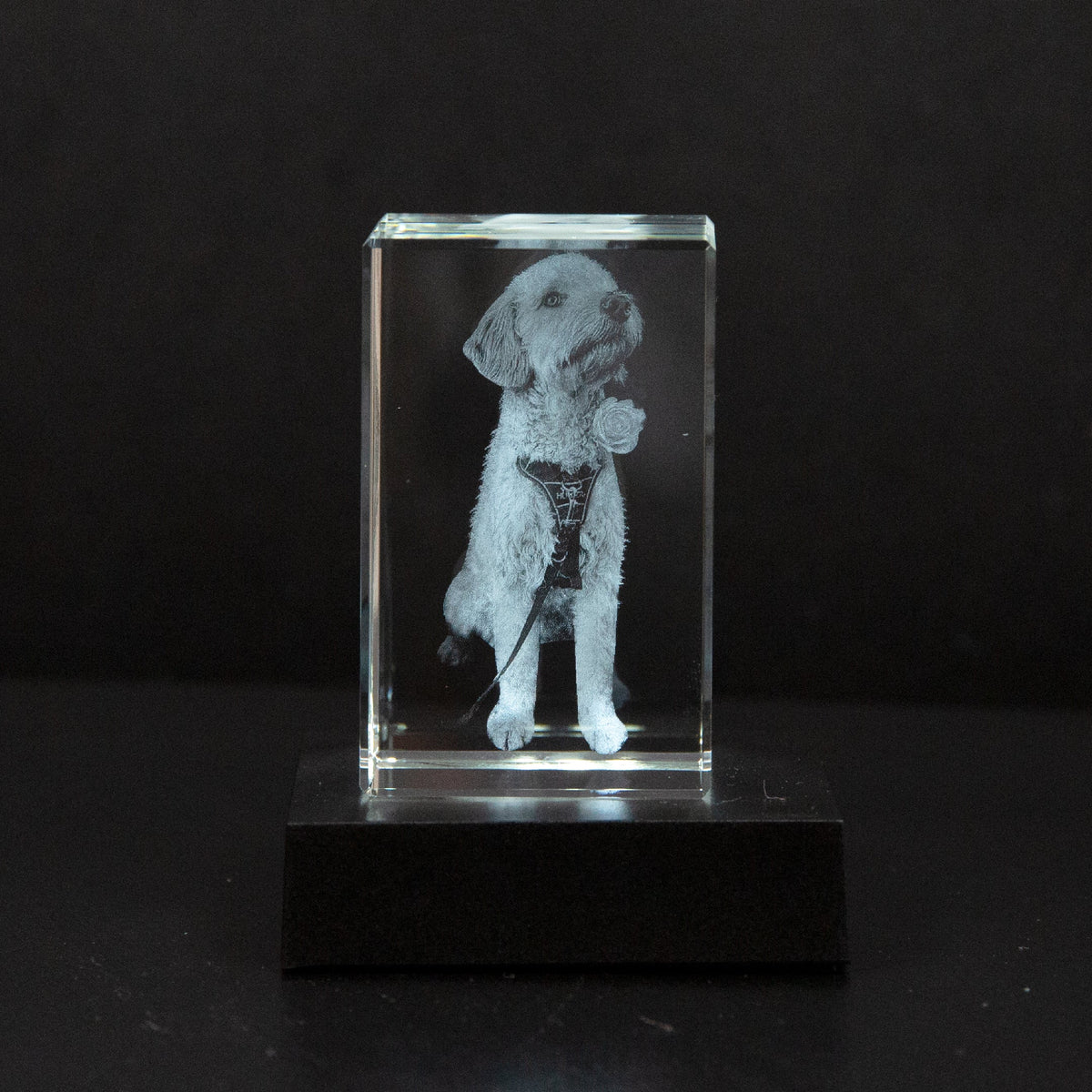 Bring Your Photo to Life in a Beautiful Piece of Art