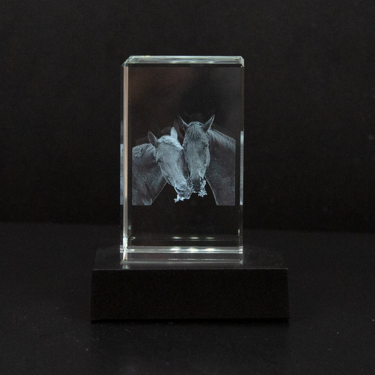 Bring Your Photo to Life in a Beautiful Piece of Art