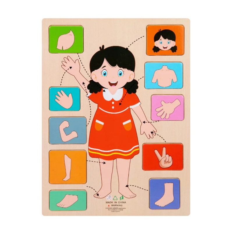 Children's Human Body Educational Wooden Jigsaw Puzzle Toy