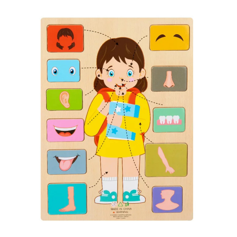 Children's Human Body Educational Wooden Jigsaw Puzzle Toy