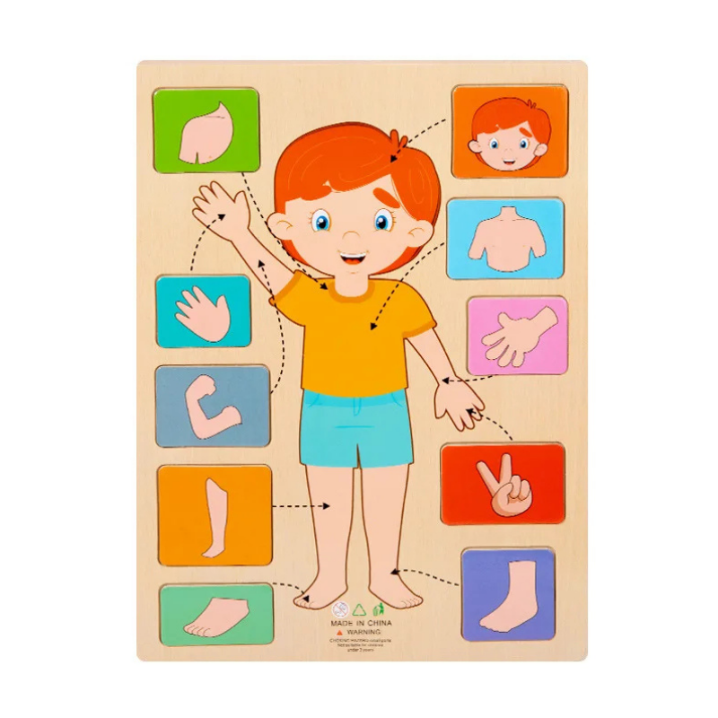 Children's Human Body Educational Wooden Jigsaw Puzzle Toy