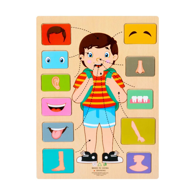 Children's Human Body Educational Wooden Jigsaw Puzzle Toy