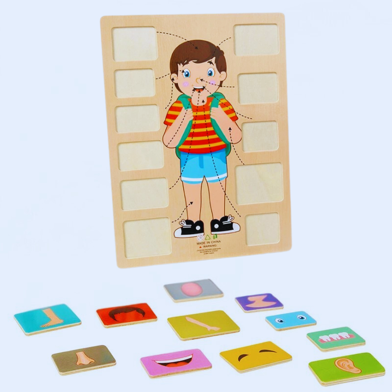Children's Human Body Educational Wooden Jigsaw Puzzle Toy