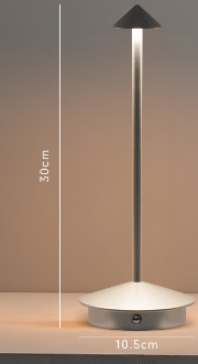 Designer Table Lamp