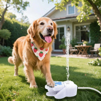 Dog Water Fountain with Paw Design