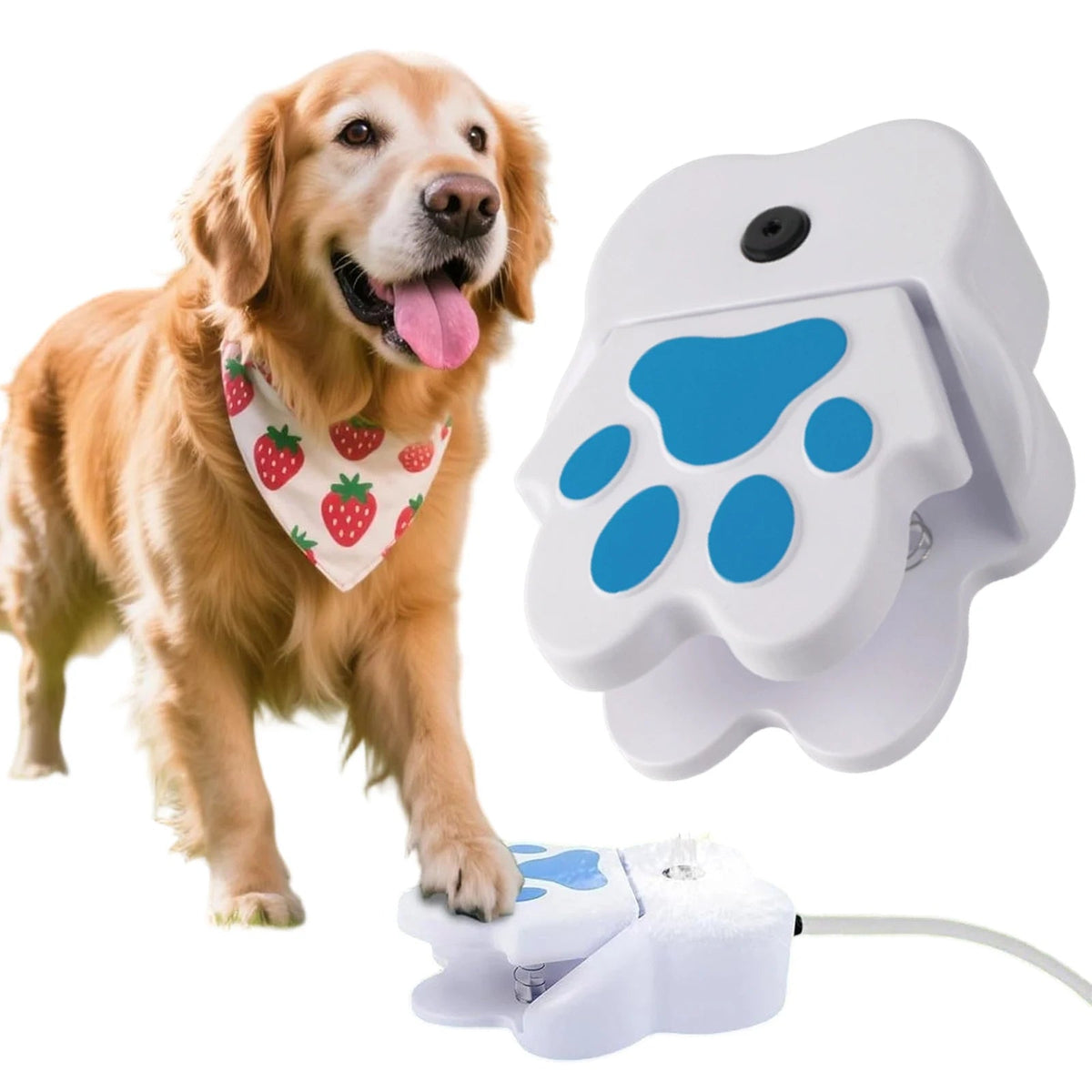 Dog Water Fountain with Paw Design