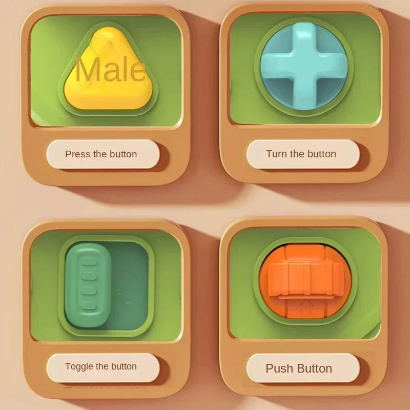 Educational Baby Toy with Pop-Up Features