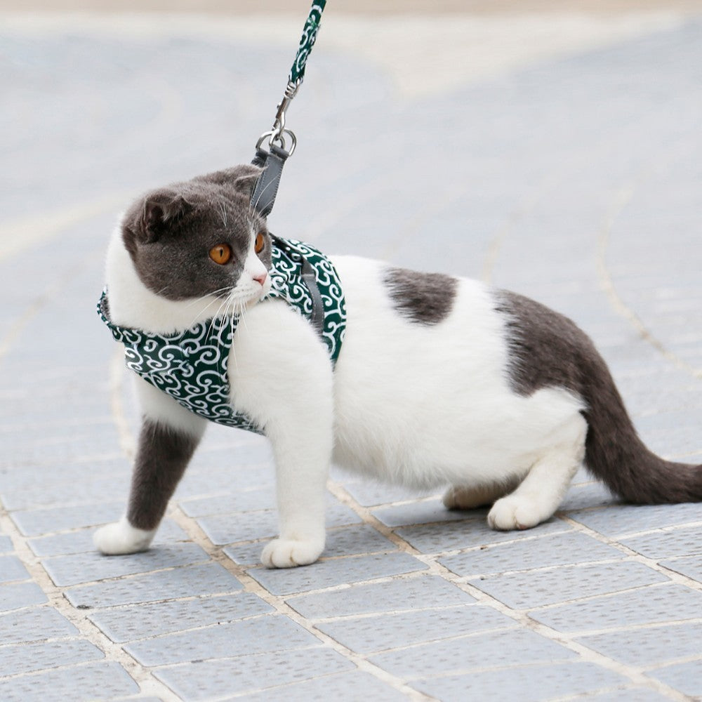 Escape-Proof Cat Harness