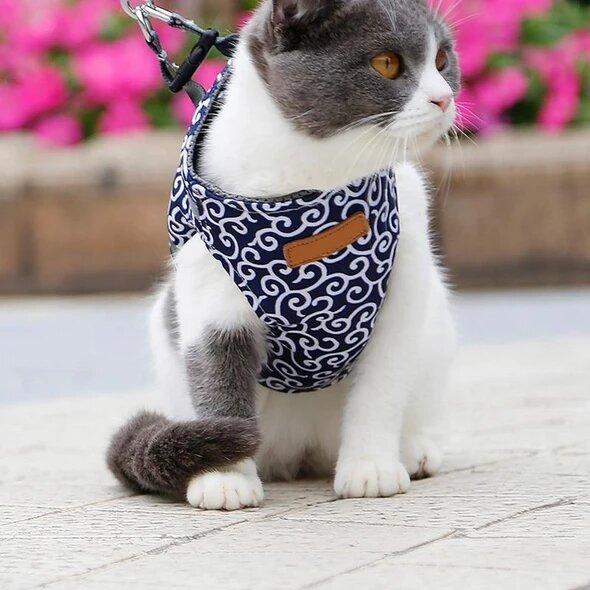 Escape-Proof Cat Harness
