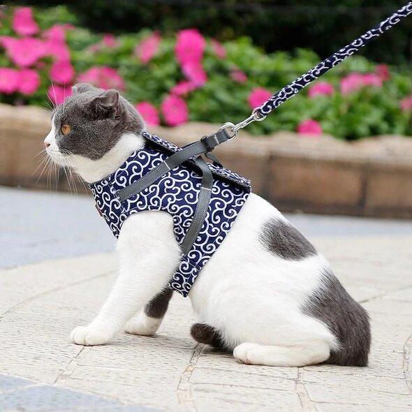 Escape-Proof Cat Harness