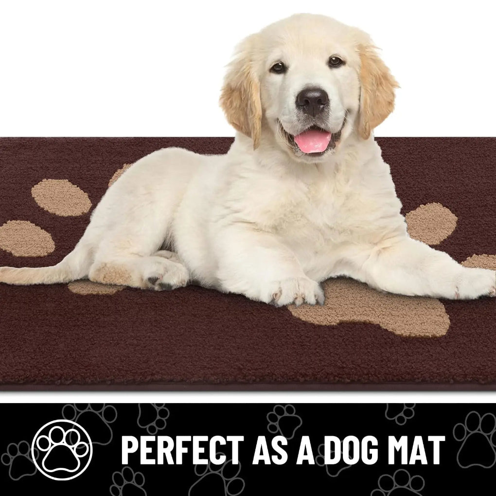 Non-Slip Pet Door Mat