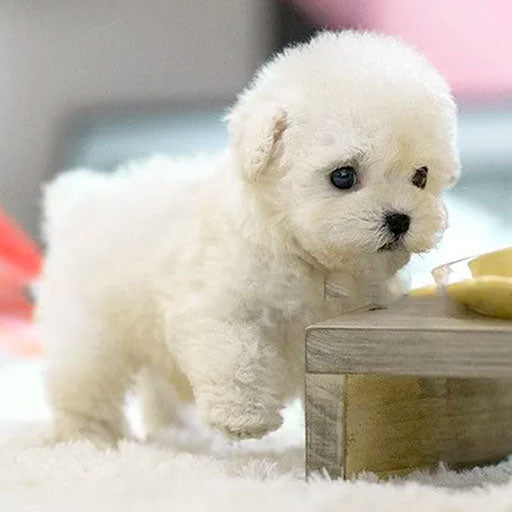 Realistic Puppy with Lifelike Movements and Sounds