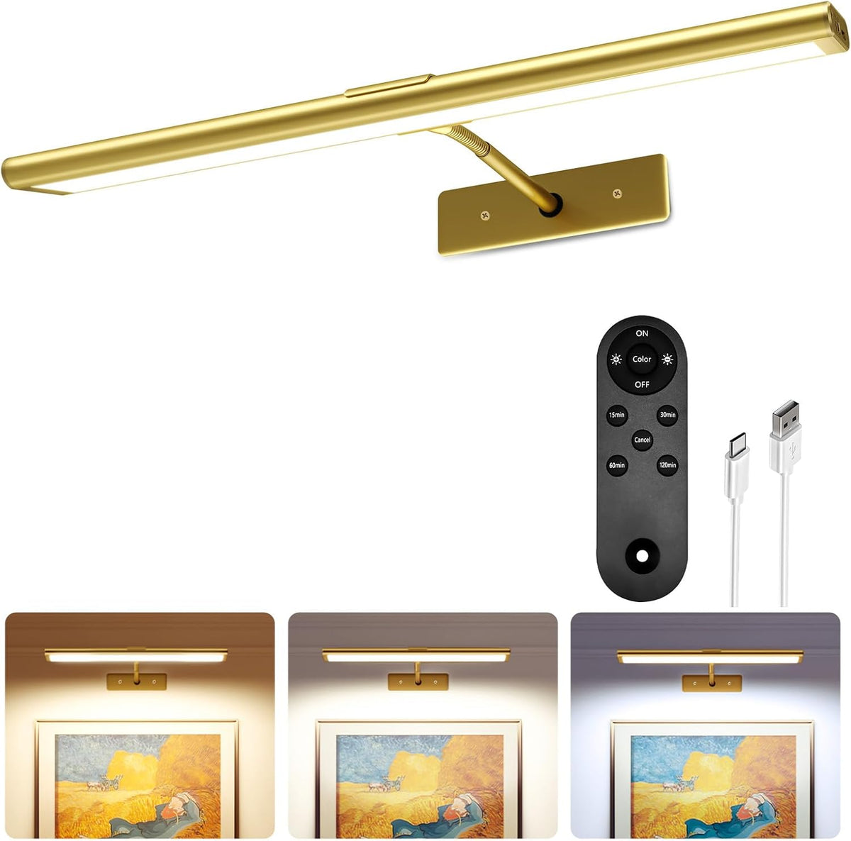Rechargeable Wireless Picture Light
