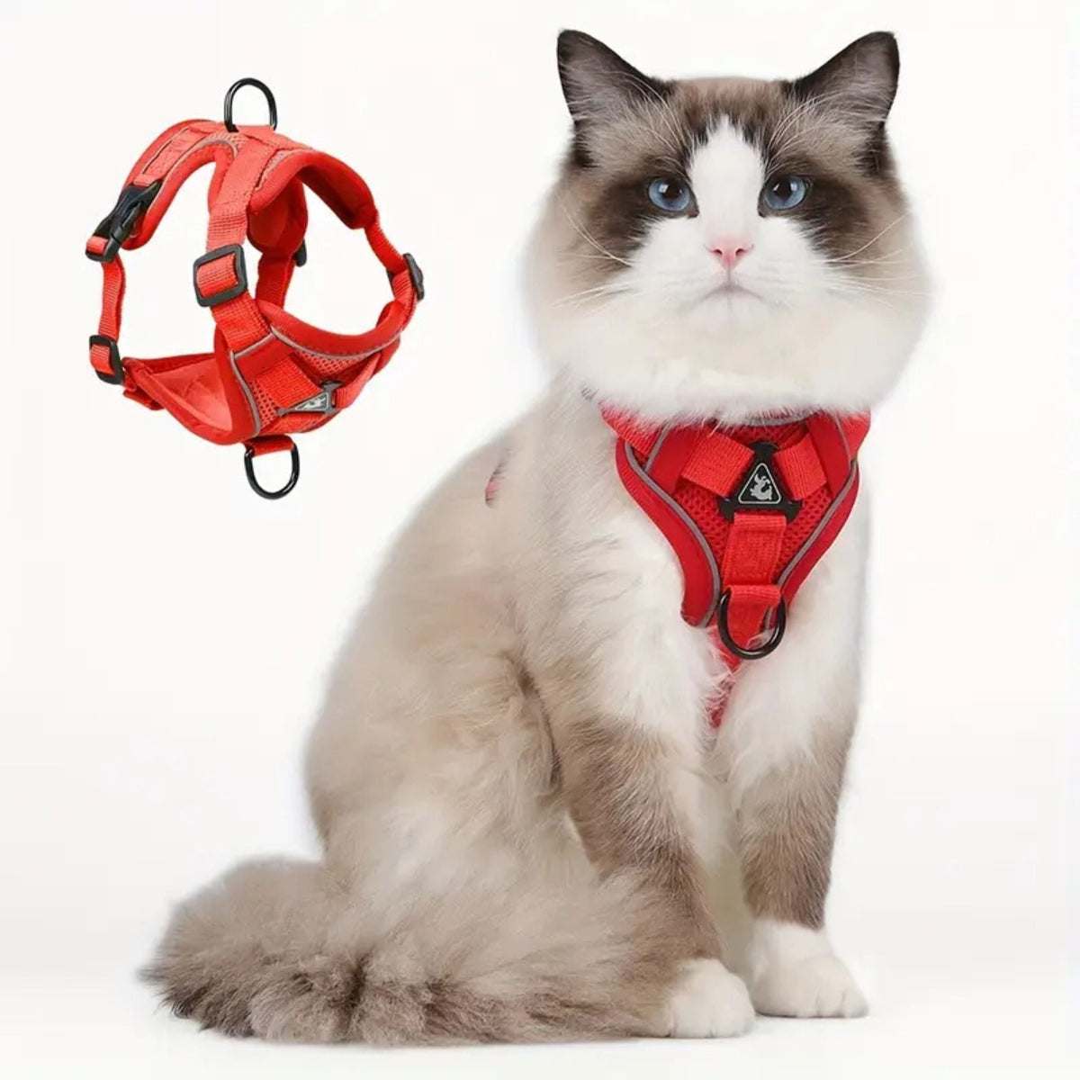 Secure Escape-Proof Cat Harness