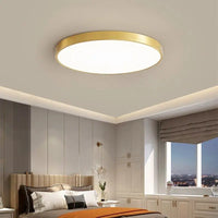Sleek LED Ceiling Lamp