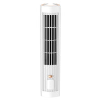 Standing Fan