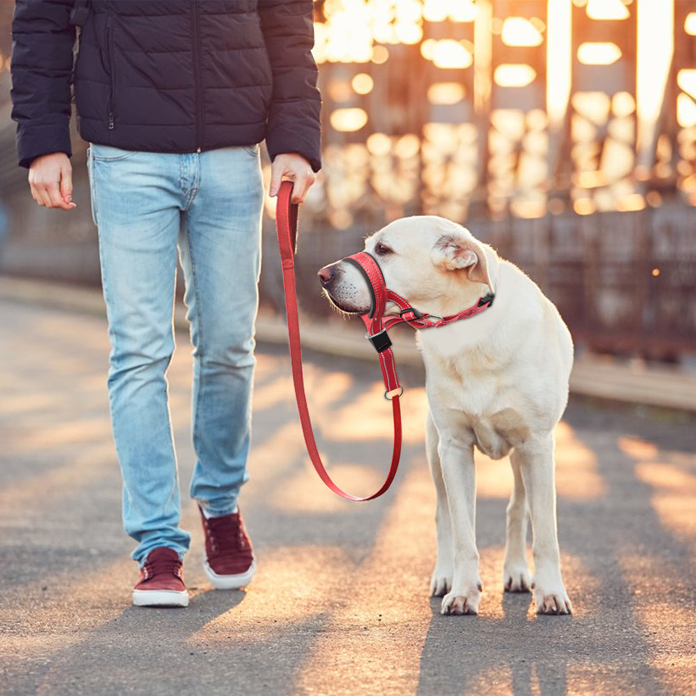 Stress-Free Anti-Barking and Anti-Biting Dog Muzzle Headcollar