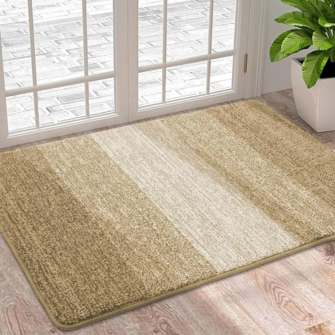 Washable Absorbent Hallway Doormat