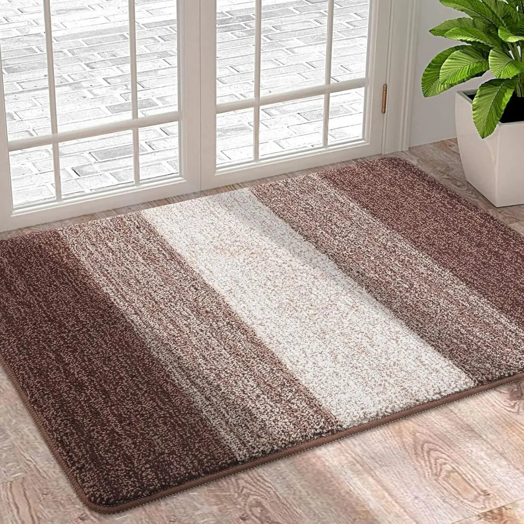 Washable Absorbent Hallway Doormat