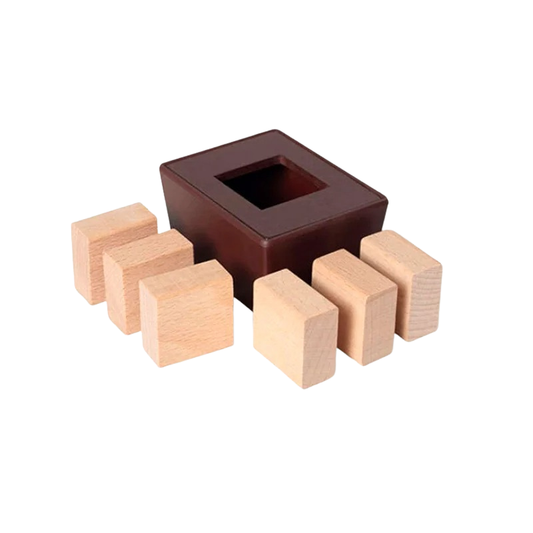 Wooden 3D Puzzle for Brain Training & Logic Skill Development